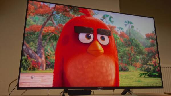 ТОП-20 лучших телевизоров с диагональю 50-55&Prime; в 2024 году